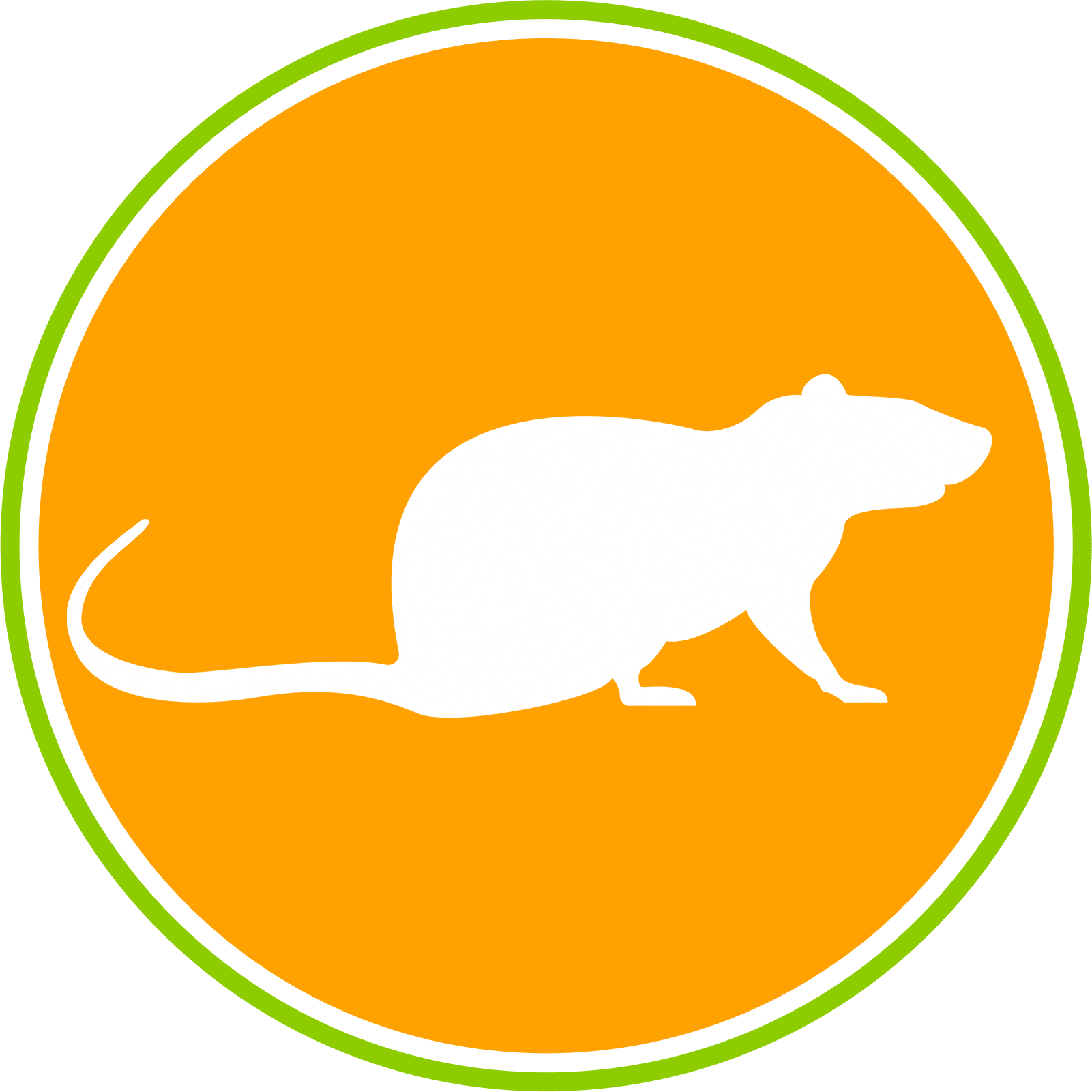 Rattenbekämpfung in Berlin und Umgebung: Ihr kompetenter Partner